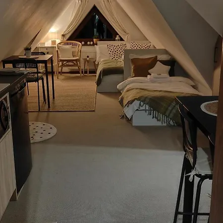 Hajlanderka * Bustryk