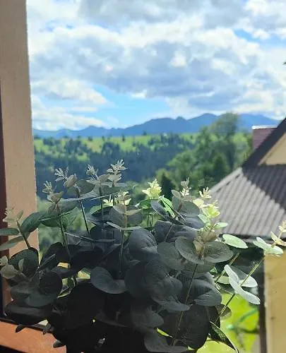 Hajlanderka 民宿 *