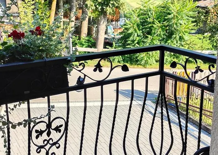 Hajlanderka بوستريك