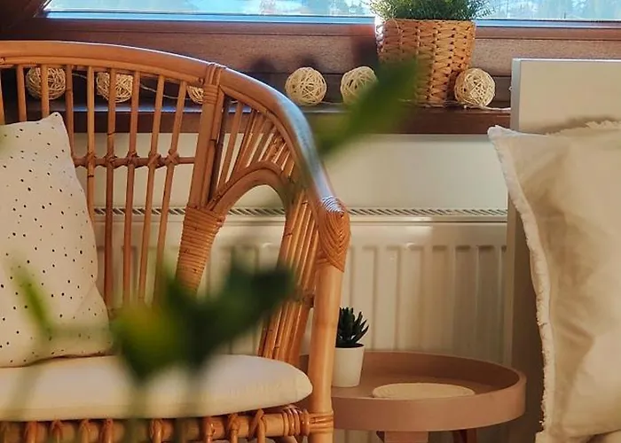 Hajlanderka * Bustryk