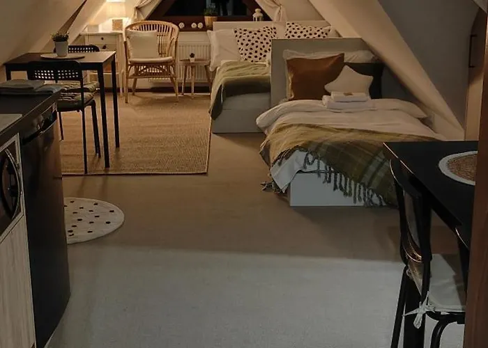 Hajlanderka * Bustryk