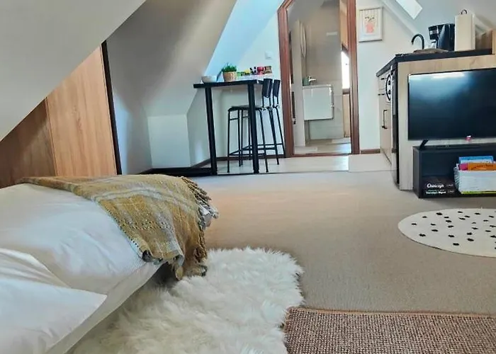 Hajlanderka * Bustryk